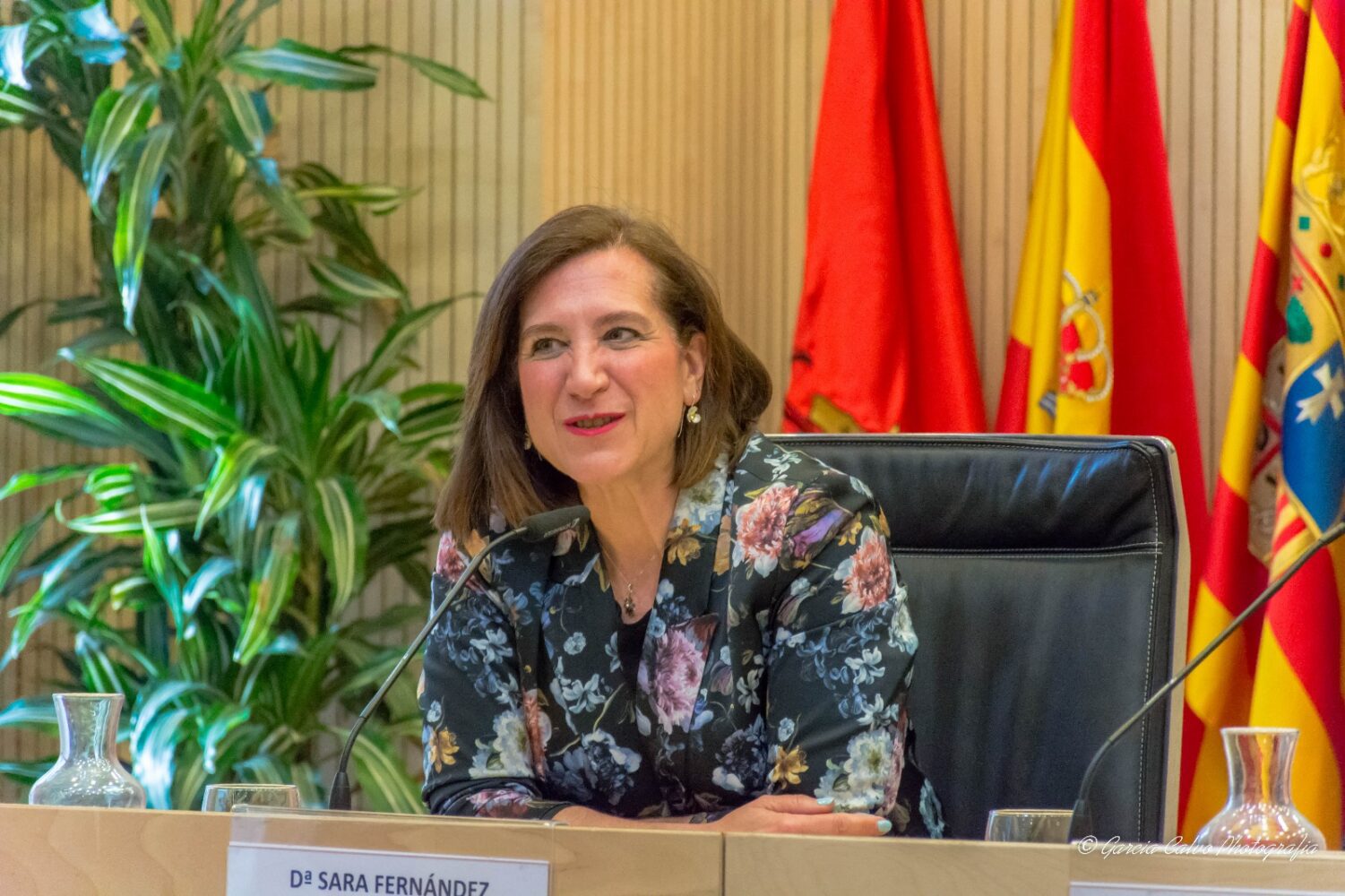 Diario de los Sitios de Zaragoza - Tomo I - 1808 - Imagen 8